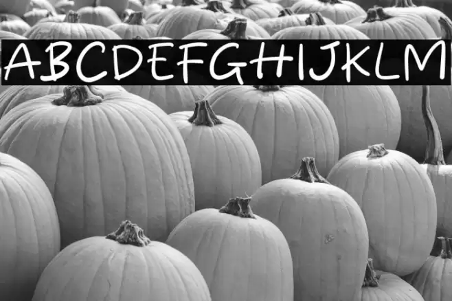 Handy Times Caratteri examples