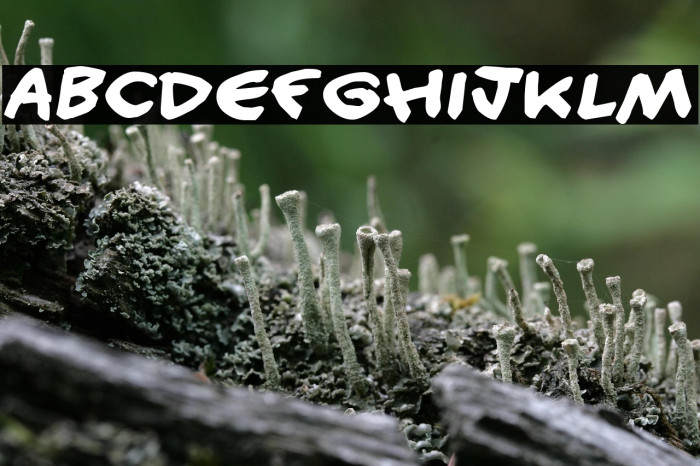 Handy candy Example 3