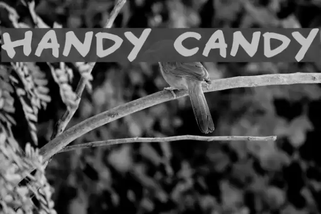 Handy candy Font examples