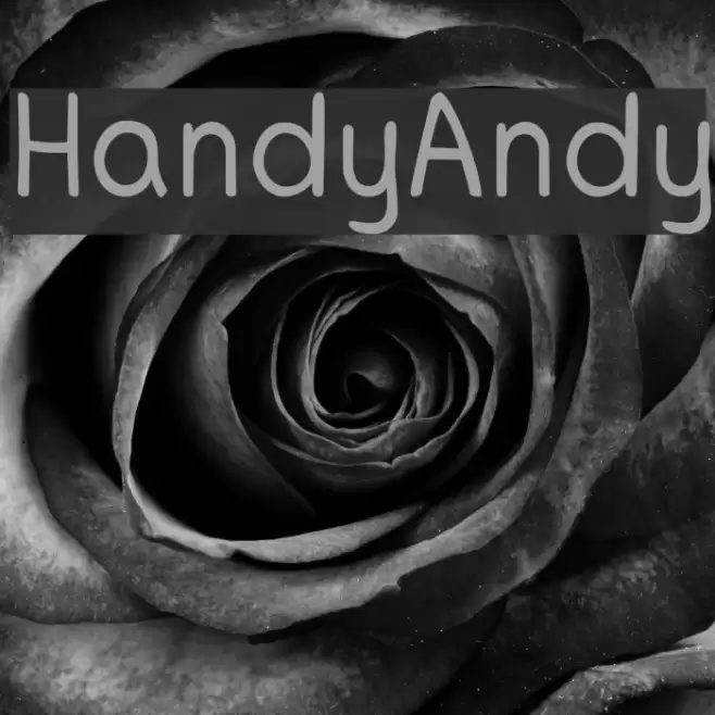 HandyAndy Caratteri examples