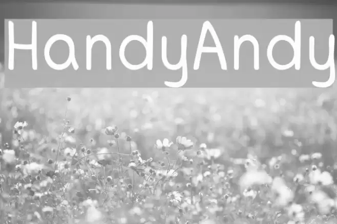 HandyAndy Caratteri examples