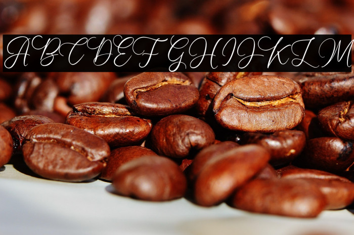 HandyDandyFREE Example 1