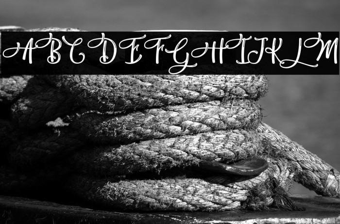 HandyInk-PersonalUse Example 2