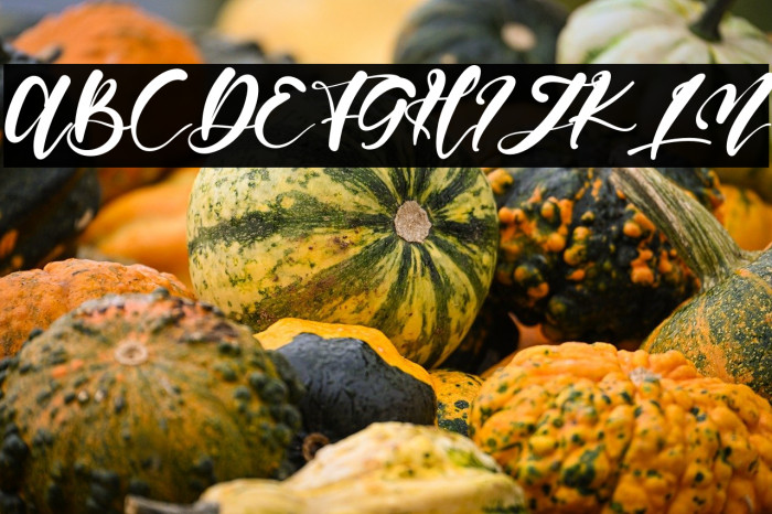 HandyMattea Example 2