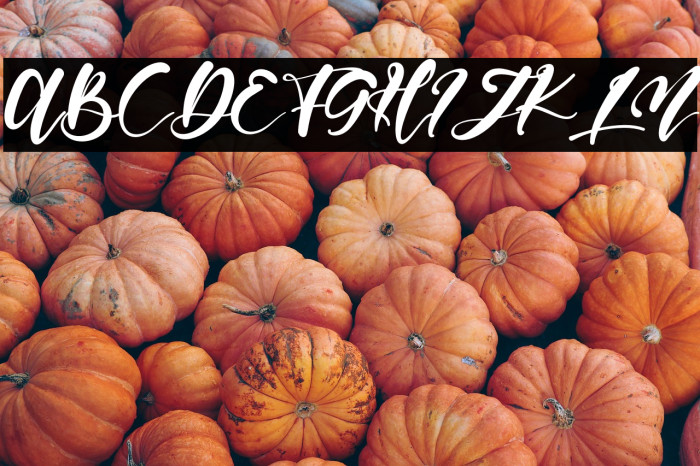 HandyMattea Example 3