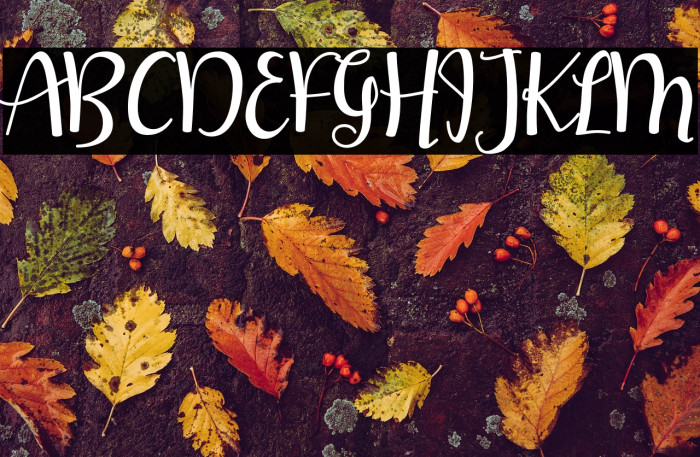 Handycraft-Regular Example 1