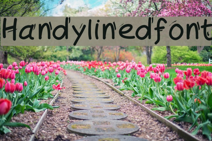 Handylinedfont Font examples