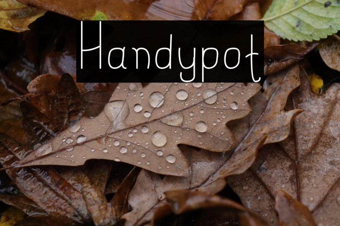 Handypot Example 1