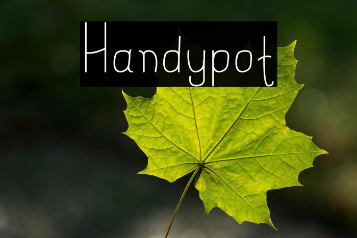Handypot Example 2
