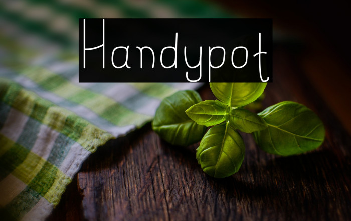 Handypot Example 3
