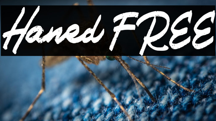 Haned FREE Example 2