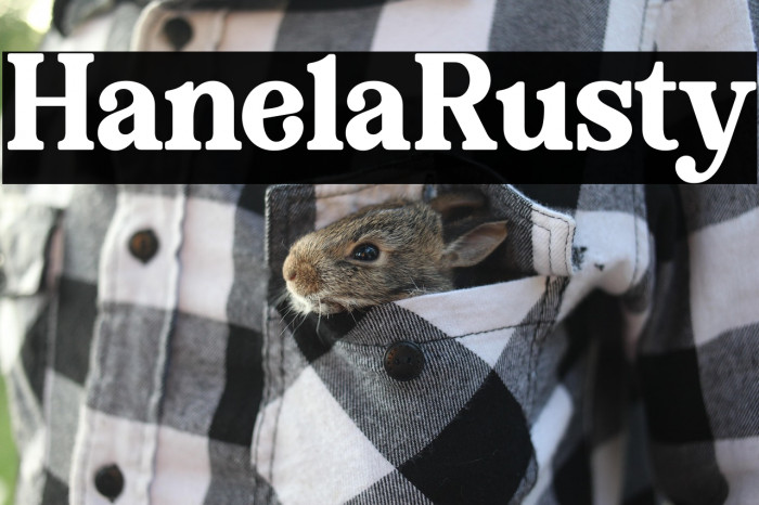 Hanela Rusty Example 2