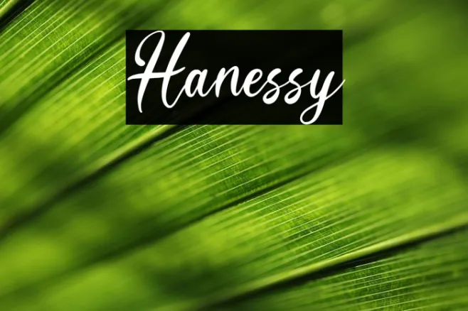 Hanessy Example 1