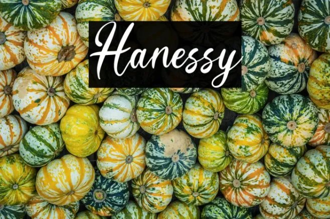Hanessy Example 2