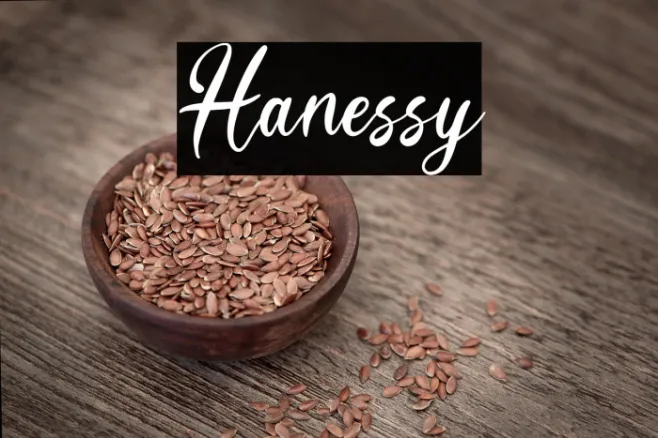 Hanessy Example 3