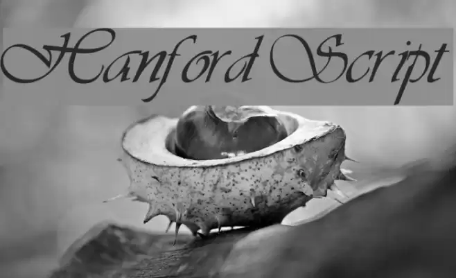 Hanford Script Font examples