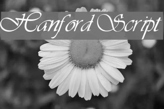 Hanford Script Font examples