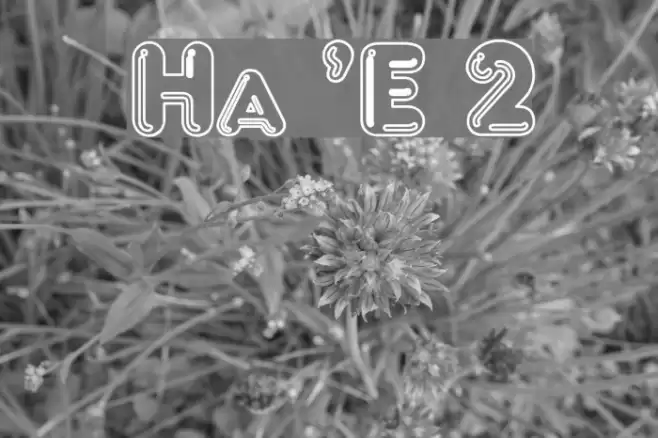 Hang 'Em 2 Font examples