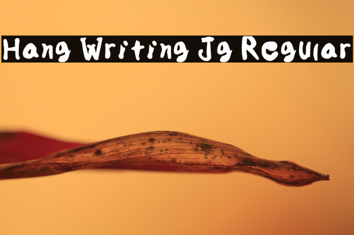 Hang Writing Jg Regular Example 3