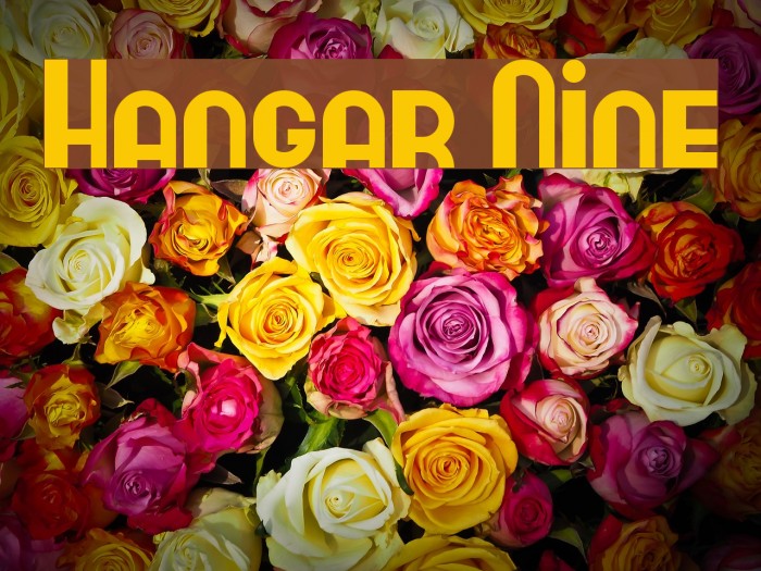 Hangar Nine Font examples