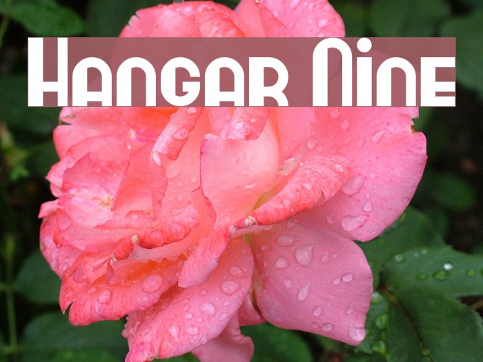 Hangar Nine Font examples