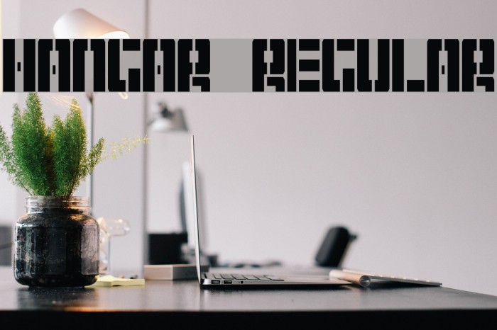 Hangar Regular Example 1