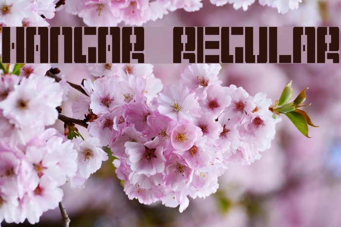 Hangar Regular Example 2