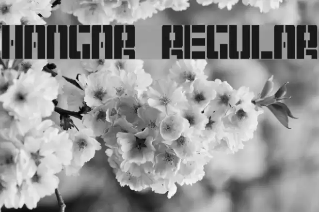 Hangar Regular Font examples