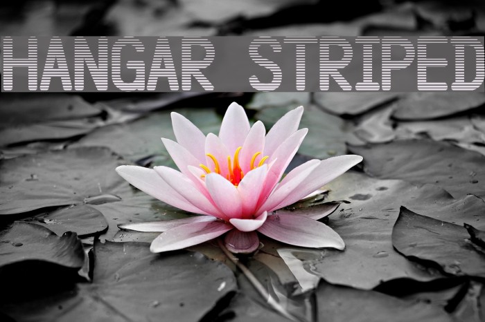 Hangar Striped Example 1