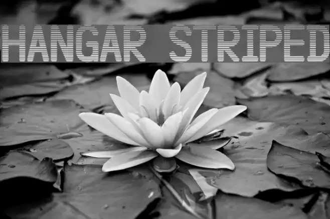 Hangar Striped Font examples