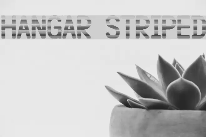Hangar Striped Font examples