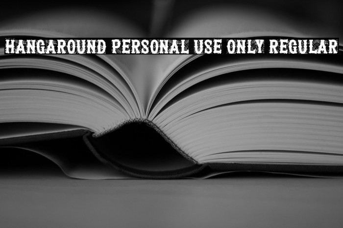 Hangaround PERSONAL USE ONLY Regular Example 3