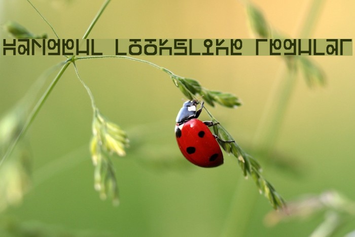 Hangeul Lookslike Regular Font examples