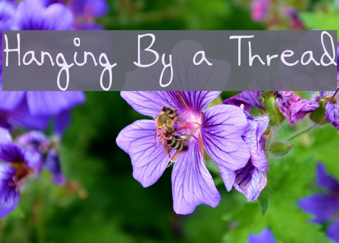 Hanging By a Thread Font examples