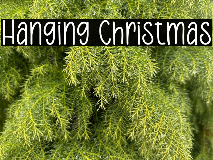 Hanging Christmas Example 1