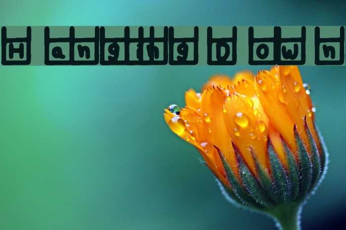 Hanging Down Example 1