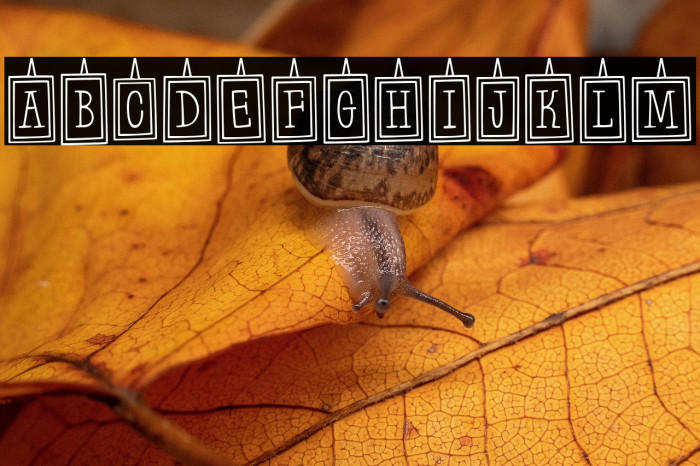 Hanging Frames Regular Example 2