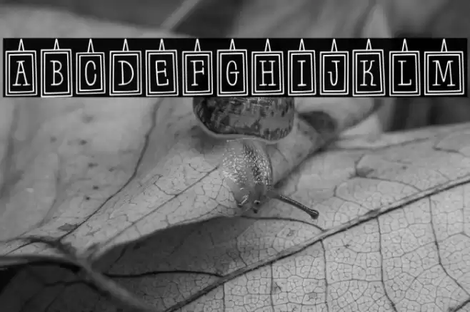 Hanging Frames Regular Font examples