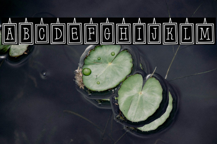 Hanging Frames Regular Example 3