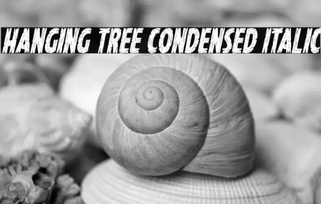 Hanging Tree Condensed Italic Font examples