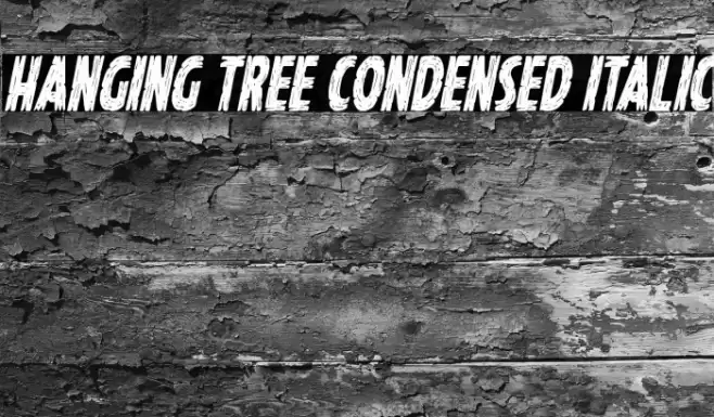 Hanging Tree Condensed Italic Font examples