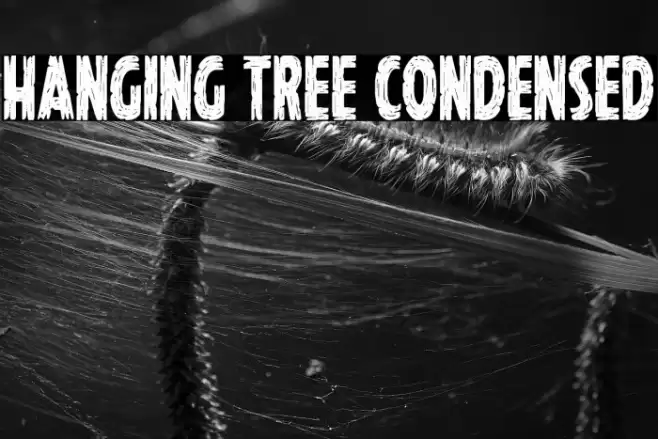 Hanging Tree Condensed Font examples