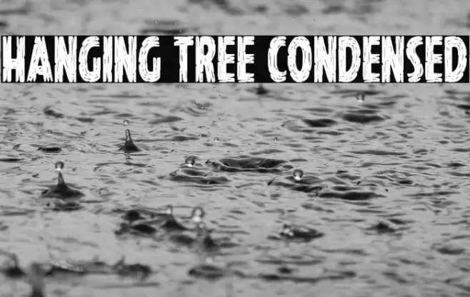 Hanging Tree Condensed Font examples