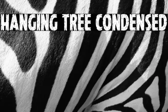 Hanging Tree Condensed Font examples