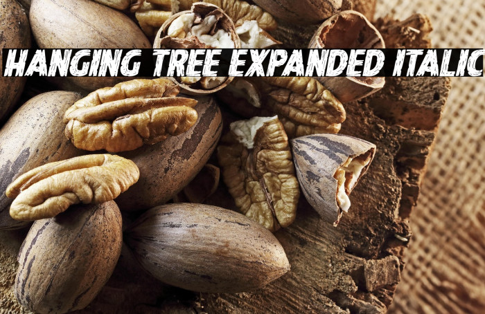 Hanging Tree Expanded Italic Example 1