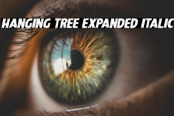 Hanging Tree Expanded Italic Example 3