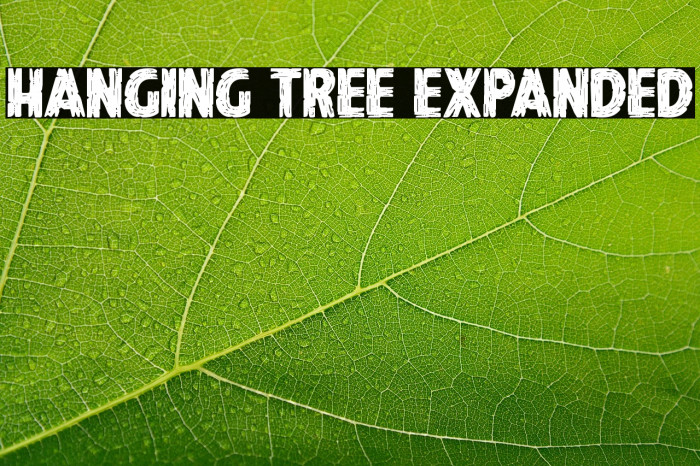 Hanging Tree Expanded Example 1