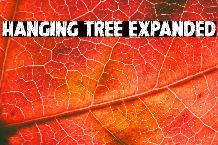 Hanging Tree Expanded Example 2