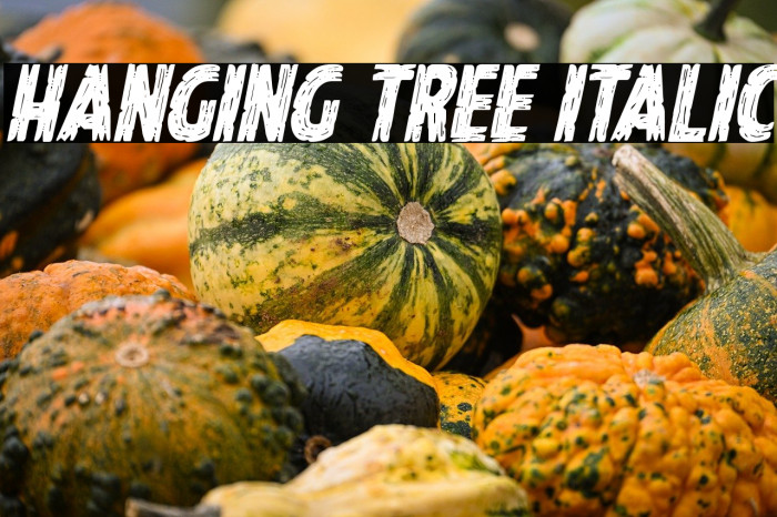 Hanging Tree Italic Example 3