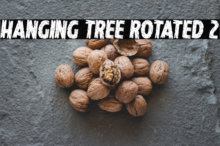 Hanging Tree Rotated 2 Example 1